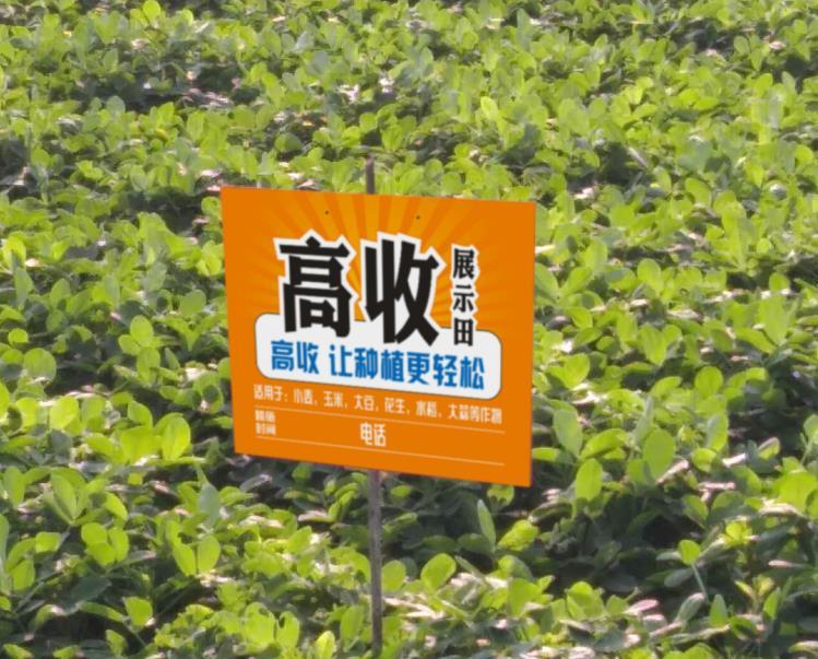  阿尔特塔轮换策略收奇效  